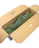 Ель WINTER GLADE Ель Arkansas Premium Hinged PVC/PE - 180 см, 291180