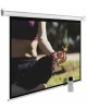 CACTUS Экран MotoExpert CS-PSME-220x138-WT, 220х138 см, 16:10, настенно-потолочный белый