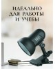 Светильник светодиодный CAMELION (7197) H-035 С02 черный