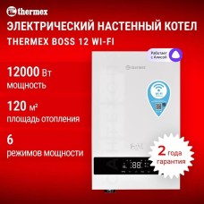 Водонагреватель газовый THERMEX Boss 12 Wi-Fi (White)
