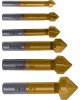 Набор зенковок DENZEL Набор зенковок, HSS, M3-M10, 6 шт, металл. кейс 72313
