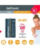 Элементы питания GOPOWER (00-00015596) Extra Heavy Duty C / R14