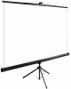 CACTUS Экран TriExpert CS-PSTE-160x160-BK, 160х160 см, 1:1, напольный черный