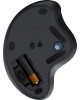 LOGITECH Трекбол Ergo M575 графитовый оптическая 2000dpi беспров. BT/Radio USB2.0 4but (910-005873)