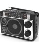 Радиоприемник RITMIX RPR-171