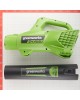 GREENWORKS Воздуходувка G24AB, без АКБ, без ЗУ, зеленый [2404807]
