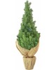 Елка ROYAL CHRISTMAS SPITSBERGEN PE/ PVC TABLE - 75CM 977075