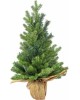 Елка ROYAL CHRISTMAS SPITSBERGEN PE/ PVC TABLE - 75CM 977075