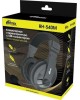Наушники RITMIX RH-540M black