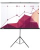 CACTUS Экран на штативе 180x180см, 1:1 Triscreen CS-PST-180x180 рулонный черный (CS-PST-180X180)