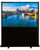 CACTUS Экран FloorCompactExpert CS-PSFLCE-160X120, 160х120 см, 4:3, напольный