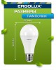 Лампочка светодиодная ERGOLUX (13183) LED-A65-20W-E27-4K
