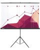 CACTUS Экран на штативе 180x180см, 1:1 Triscreen CS-PST-180x180 рулонный черный (CS-PST-180X180)