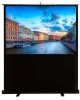 CACTUS Экран FloorCompactExpert CS-PSFLCE-160X120, 160х120 см, 4:3, напольный
