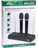 Караоке-система RITMIX RWM-210