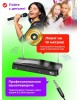 Караоке-система RITMIX RWM-210