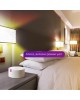 GAUSS Умная лампа IoT Smart Home E27 10Вт 1055lm Wi-Fi (упак.:1шт) (1080112)