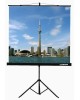 LUMIEN Экран Eco View LEV-100101, 150х150 см, 1:1, напольный
