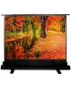 CACTUS Экран FloorExpert CS-PSFLE-200X150, 200х150 см, 4:3, напольный