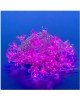 Гирлянда UNIEL (07933) ULD-S0700-050/DTA PINK SAKURA