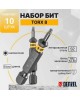 DENZEL Бита TX 8х50, сталь S2, шестигранный профиль, 10 шт. Е 6,3 11666