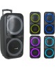 Акустика портативная ELTRONIC (20-14) DANCE BOX 300 - колонка 10