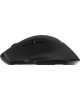 ACER Мышь беспроводная OMR170, Bluetooth/Радио, оптическая, USB, 1600dpi, черный [zl.mceee.00n]