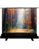 CACTUS Экран FloorExpert CS-PSFLE-180X135, 180х135 см, 4:3, напольный