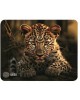 CACTUS Коврик для мыши Leopard рисунок 250x200x3мм (CS-MP-D06S)