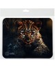 CACTUS Коврик для мыши Leopard рисунок 250x200x3мм (CS-MP-D06S)