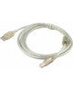 Gembird CCF-USB2-AMBM-TR-10