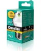 Лампа свтодиодная CAMELION (13694) LED12-G45/830/E27