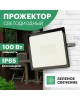Прожектор светодиодный REXANT (605-018) 100 Вт, цвет свечения зеленый