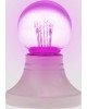 NEON-NIGHT Ретро-лампа светодиодная, диаметр 45мм, E27, 6 LED, 2Вт, РОЗОВЫЙ, прозрачная колба, 230В