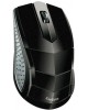 EXEGATE SH-9031