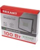 Прожектор светодиодный REXANT (605-015) 20 Вт, цвет свечения зеленый