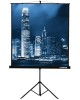 LUMIEN Экран Eco View LEV-100107, 180х180 см, 1:1, напольный