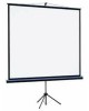 LUMIEN Экран Eco View LEV-100107, 180х180 см, 1:1, напольный
