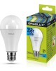 Лампа ERGOLUX (14236) LED-A65-25W-E27-4K