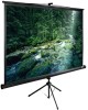 CACTUS Экран TriExpert CS-PSTE-220x165-BK, 220х165 см, 4:3, напольный черный