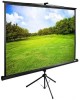 CACTUS Экран TriExpert CS-PSTE-220x165-BK, 220х165 см, 4:3, напольный черный