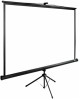 CACTUS Экран TriExpert CS-PSTE-220x165-BK, 220х165 см, 4:3, напольный черный