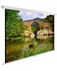 CACTUS Экран WallExpert CS-PSWE-220x165-WT, 220х165 см, 4:3, настенно-потолочный белый