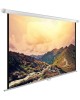 CACTUS Экран WallExpert CS-PSWE-220x165-WT, 220х165 см, 4:3, настенно-потолочный белый