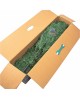 Ель искусственная ROYAL CHRISTMAS DAKOTA REDUCED PVC - 120CM 85120