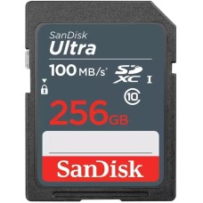 SanDisk SDSDUNR-256G-GN3IN