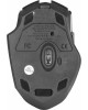 OKLICK Мышь Оклик 780GW черный оптическая (3200dpi) беспроводная USB для ноутбука (6but)