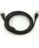 Gembird CCF2-USB2-AMAF-10