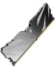 NETAC Модуль памяти DIMM 16GB DDR5-4800 NTSWD5P48SP-16K NETAC Модуль памяти DIMM 16GB DDR5-4800 NTSWD5P48SP-16K