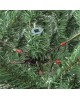 Ель искусственная ROYAL CHRISTMAS DAKOTA REDUCED PVC - 150CM 85150